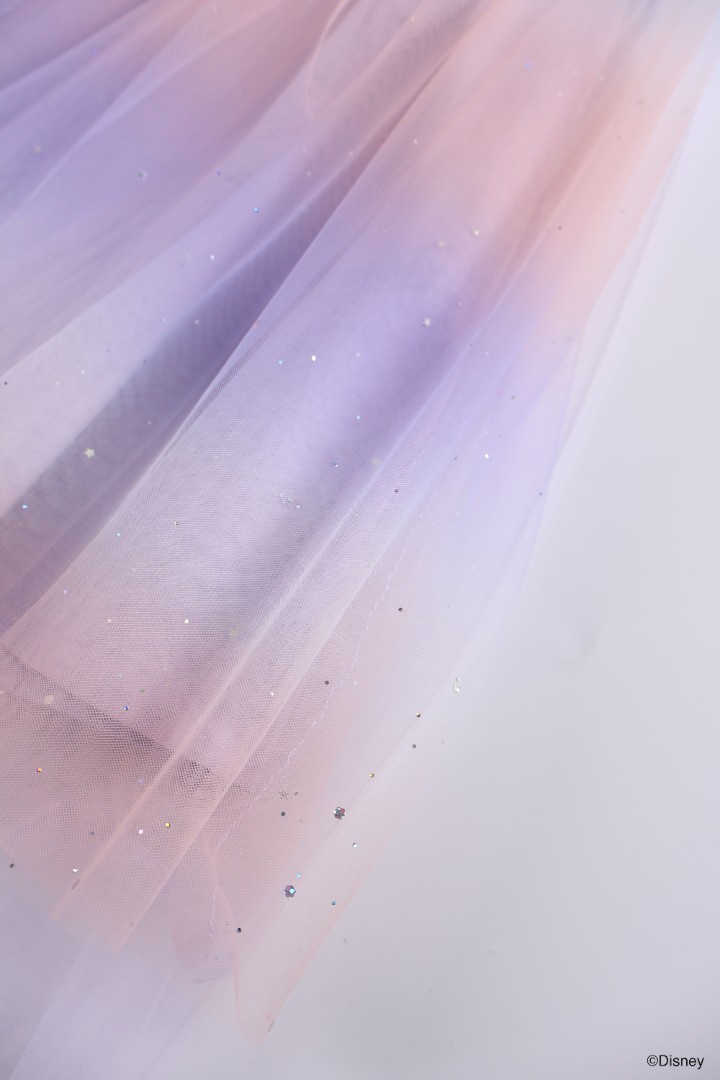 Frozen II © DISNEY Tulle Party Dress