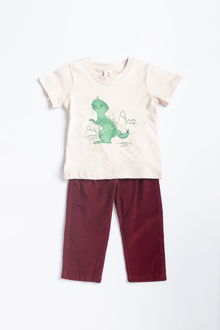 Printed T-Shirt with Long Pants Suit Set