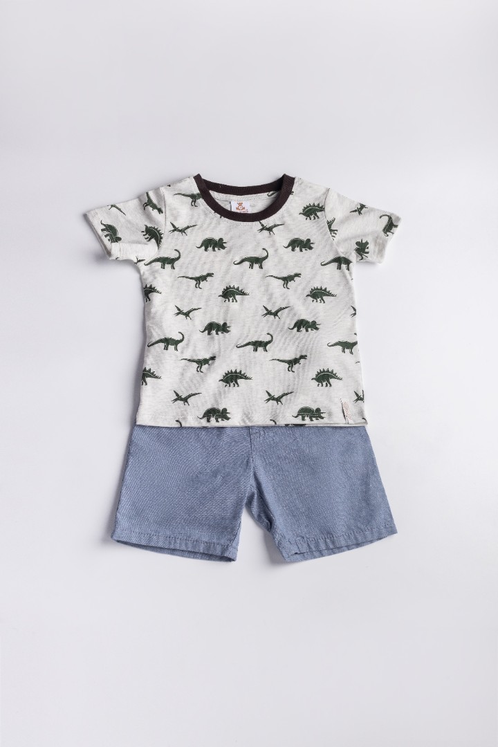 Printed T-Shirt with Short Suit Set